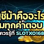 slotxo168 ทางเข้า